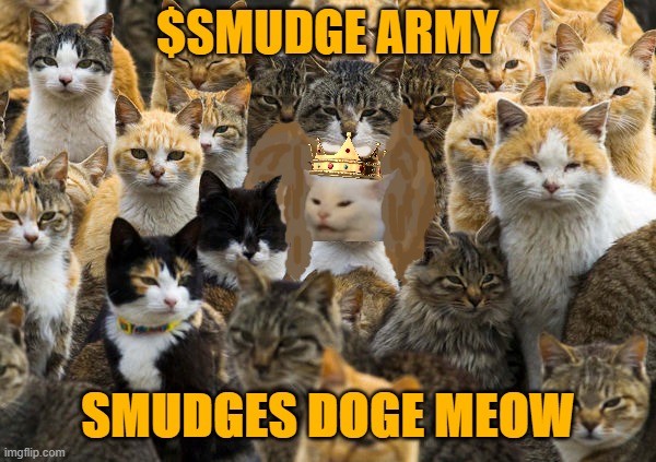 Smudged meow | $SMUDGE ARMY; SMUDGES DOGE MEOW | image tagged in smudge army | made w/ Imgflip meme maker