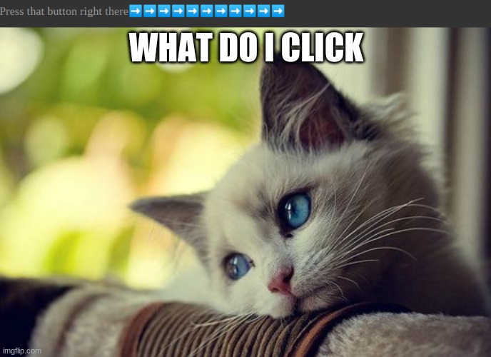 WHAT DO I CLICK | image tagged in memes,first world problems cat | made w/ Imgflip meme maker