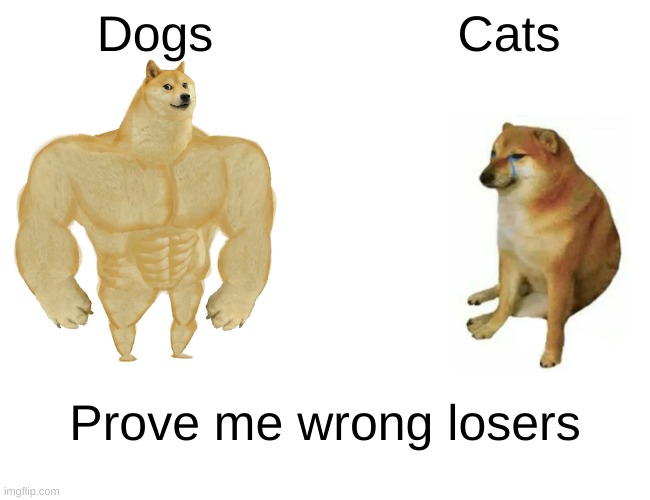 Buff Doge vs. Cheems Meme | Dogs; Cats; Prove me wrong losers | image tagged in memes,buff doge vs cheems | made w/ Imgflip meme maker