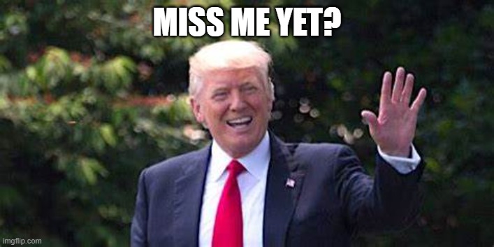 Miss Me Yet | MISS ME YET? | image tagged in trump,wave,ironiy | made w/ Imgflip meme maker