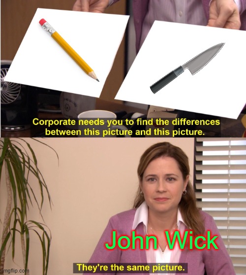 They're The Same Picture Meme | John Wick | image tagged in memes,they're the same picture | made w/ Imgflip meme maker