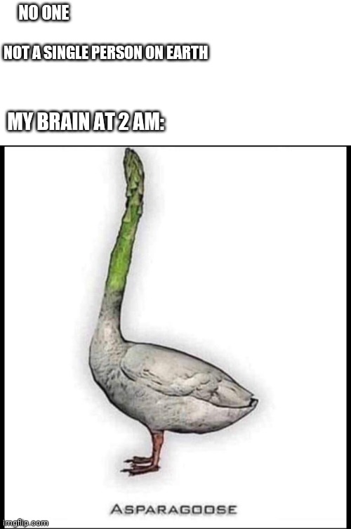Goose | NO ONE; NOT A SINGLE PERSON ON EARTH; MY BRAIN AT 2 AM: | image tagged in goose | made w/ Imgflip meme maker