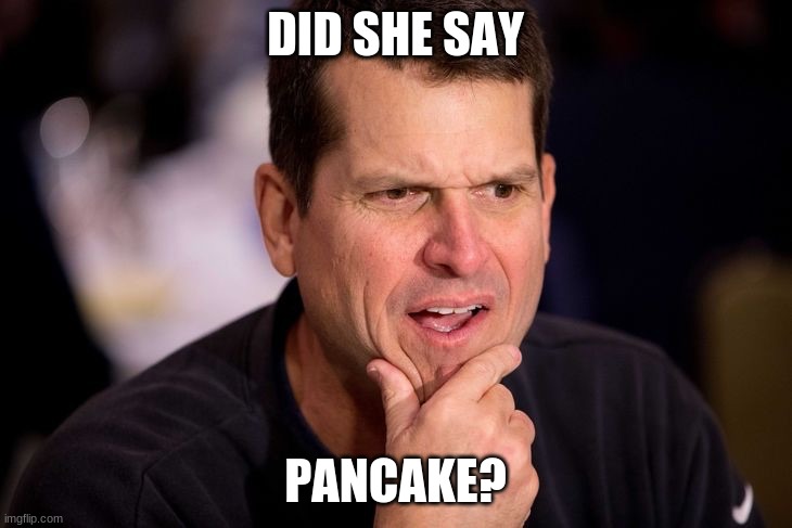 Confused Face | DID SHE SAY; PANCAKE? | image tagged in confused face | made w/ Imgflip meme maker