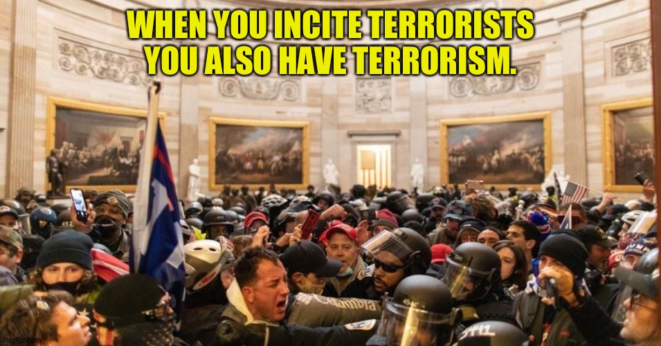 Capitol | WHEN YOU INCITE TERRORISTS YOU ALSO HAVE TERRORISM. | image tagged in capitol | made w/ Imgflip meme maker
