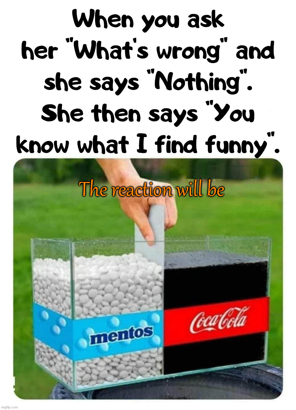 Might just be explosive. | When you ask her "What's wrong" and she says "Nothing". She then says "You know what I find funny". The reaction will be | image tagged in mentos and coke,reactions,memes | made w/ Imgflip meme maker