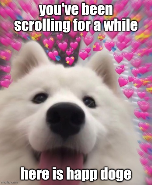 have a good friday | you've been scrolling for a while; here is happ doge | image tagged in cute dog,funny | made w/ Imgflip meme maker