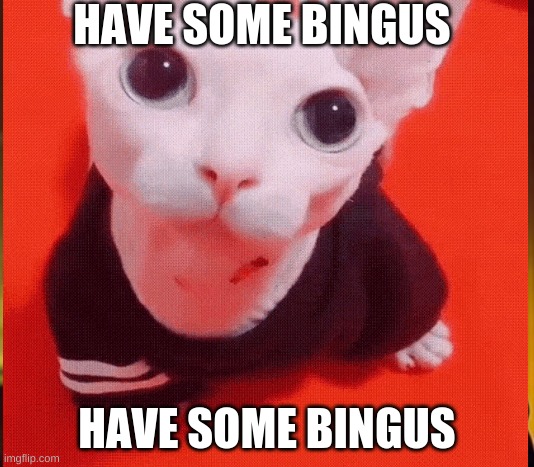 HAVE SOME BINGUS; HAVE SOME BINGUS | made w/ Imgflip meme maker