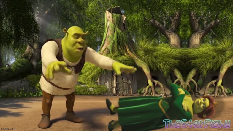 Shrek Fiona ritual | image tagged in shrek fiona ritual | made w/ Imgflip meme maker