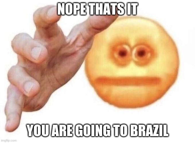 vibe check | NOPE THATS IT YOU ARE GOING TO BRAZIL | image tagged in vibe check | made w/ Imgflip meme maker