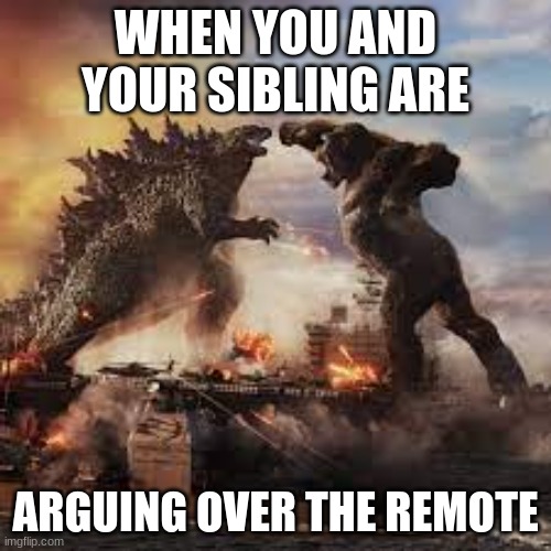 WHEN YOU AND YOUR SIBLING ARE ARGUING OVER THE REMOTE | WHEN YOU AND YOUR SIBLING ARE; ARGUING OVER THE REMOTE | image tagged in this is my life | made w/ Imgflip meme maker