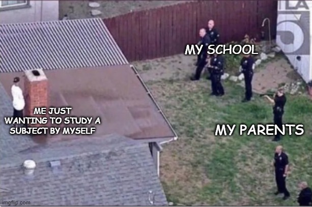 Hmm I want to study interesting things | MY SCHOOL; ME JUST WANTING TO STUDY A SUBJECT BY MYSELF; MY PARENTS | image tagged in guy hiding from cops on roof | made w/ Imgflip meme maker