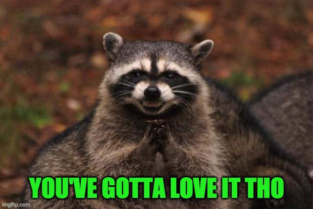 evil genius racoon | YOU'VE GOTTA LOVE IT THO | image tagged in evil genius racoon | made w/ Imgflip meme maker