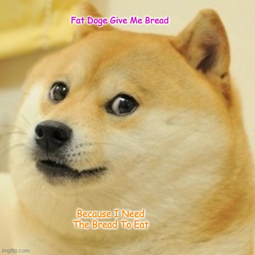 GIVE FAT DOGE BREAD | Fat Doge Give Me Bread; Because I Need The Bread To Eat | image tagged in memes,doge | made w/ Imgflip meme maker