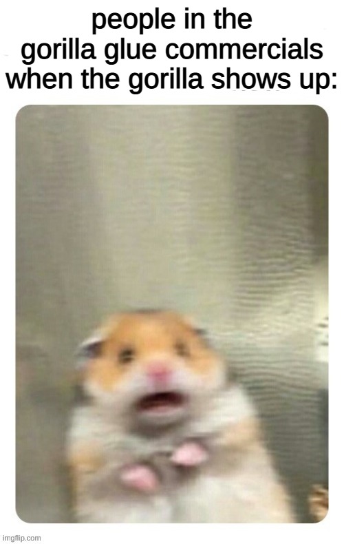 *insert high-pitched hamster screaming here* | people in the gorilla glue commercials when the gorilla shows up: | image tagged in what can i say except aaaaaaaaaaa,memes | made w/ Imgflip meme maker