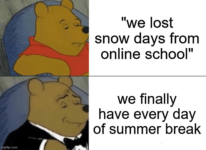 Tuxedo Winnie The Pooh Meme | "we lost snow days from online school"; we finally have every day of summer break | image tagged in memes,tuxedo winnie the pooh | made w/ Imgflip meme maker