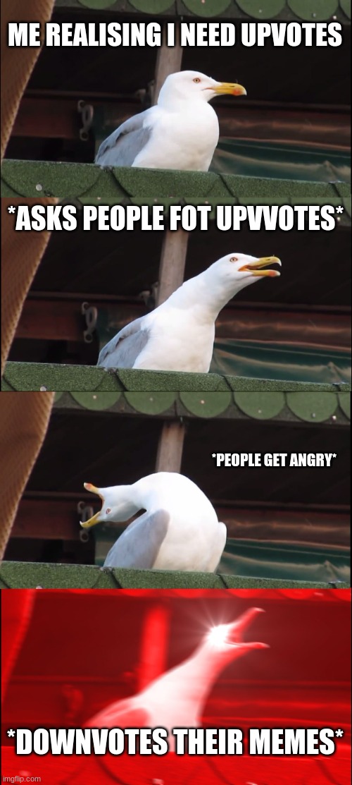 Upvotes? | ME REALISING I NEED UPVOTES; *ASKS PEOPLE FOT UPVVOTES*; *PEOPLE GET ANGRY*; *DOWNVOTES THEIR MEMES* | image tagged in memes,inhaling seagull | made w/ Imgflip meme maker