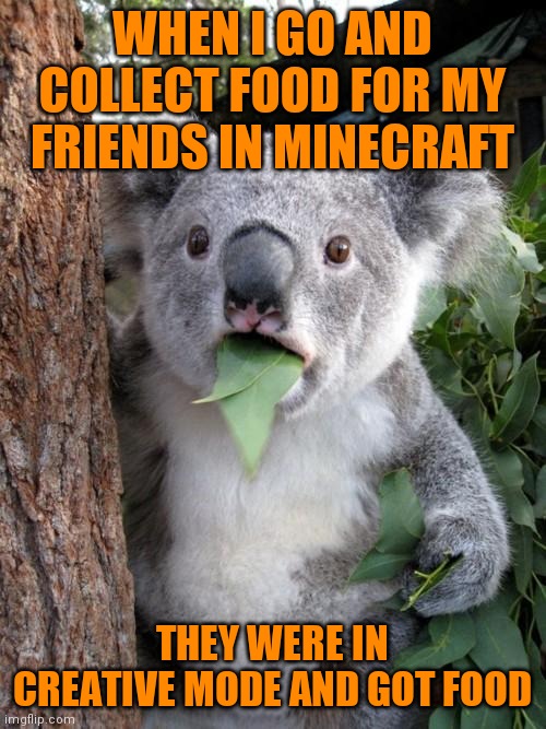 Me shocked in minecraft  when I know that there was creative mode? | WHEN I GO AND COLLECT FOOD FOR MY FRIENDS IN MINECRAFT; THEY WERE IN CREATIVE MODE AND GOT FOOD | image tagged in memes,surprised koala | made w/ Imgflip meme maker