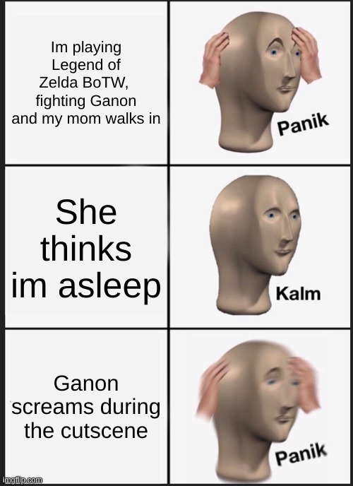 Rip Link | Im playing Legend of Zelda BoTW,  fighting Ganon and my mom walks in; She thinks im asleep; Ganon screams during the cutscene | image tagged in memes,panik kalm panik | made w/ Imgflip meme maker