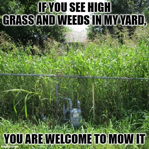 IF YOU SEE HIGH GRASS AND WEEDS IN MY YARD, YOU ARE WELCOME TO MOW IT | image tagged in grass | made w/ Imgflip meme maker