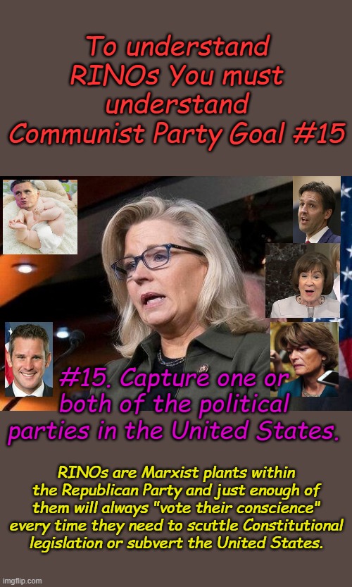 Fired Liz Cheney is being praised by Democrats because she's on their team, just one part of the Communist take over of the USA | To understand RINOs You must understand Communist Party Goal #15; #15. Capture one or both of the political parties in the United States. RINOs are Marxist plants within the Republican Party and just enough of them will always "vote their conscience" every time they need to scuttle Constitutional legislation or subvert the United States. | image tagged in liz cheney | made w/ Imgflip meme maker