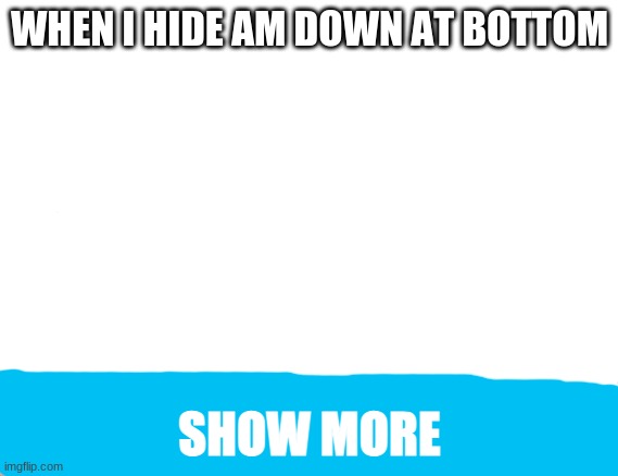 a funny meme | WHEN I HIDE AM DOWN AT BOTTOM; SHOW MORE | image tagged in funny,hideing | made w/ Imgflip meme maker