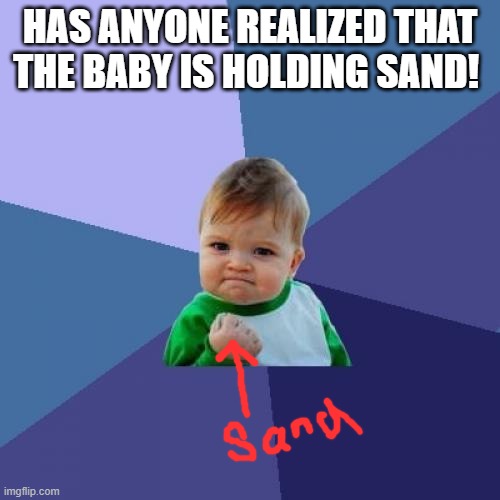 Success Kid Meme | HAS ANYONE REALIZED THAT THE BABY IS HOLDING SAND! | image tagged in memes,success kid | made w/ Imgflip meme maker