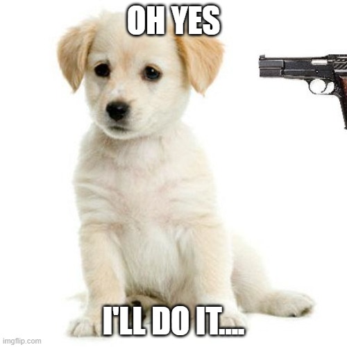 Shoot the puppy | OH YES; I'LL DO IT.... | image tagged in dogs | made w/ Imgflip meme maker
