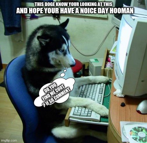 Hewo hooman's | THIS DOGE KNOW YOUR LOOKING AT THIS; AND HOPE YOUR HAVE A NOICE DAY HOOMAN; DO YOU FIND ME COOT ? IF SO COMMENT | image tagged in memes,hewo,hooman,have a good day | made w/ Imgflip meme maker