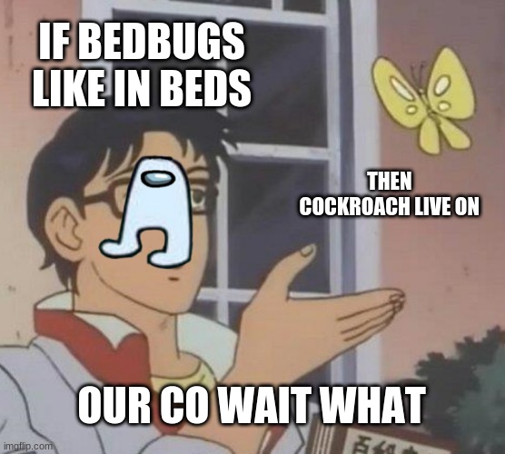 Is This A Pigeon | IF BEDBUGS LIKE IN BEDS; THEN 
COCKROACH LIVE ON; OUR CO WAIT WHAT | image tagged in memes,is this a pigeon | made w/ Imgflip meme maker