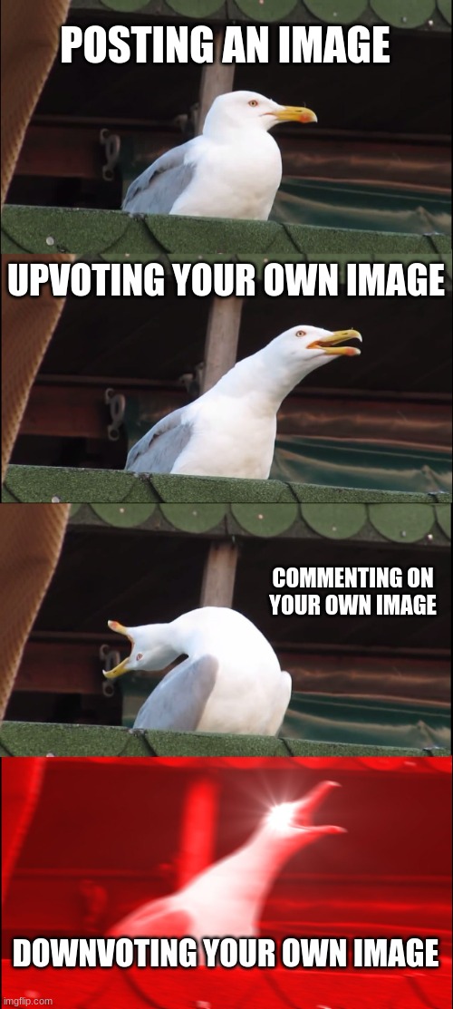 Inhaling Seagull | POSTING AN IMAGE; UPVOTING YOUR OWN IMAGE; COMMENTING ON YOUR OWN IMAGE; DOWNVOTING YOUR OWN IMAGE | image tagged in memes,inhaling seagull | made w/ Imgflip meme maker