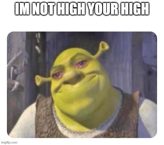 i captioned it | IM NOT HIGH YOUR HIGH | image tagged in lol | made w/ Imgflip meme maker