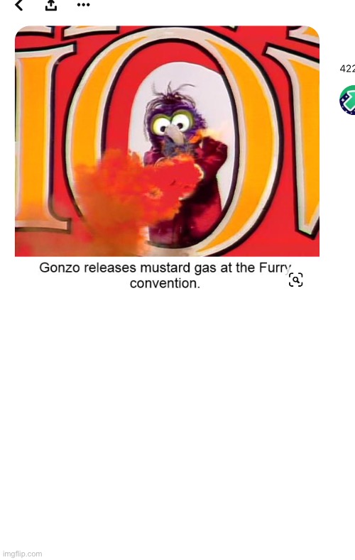 Gonzo doesnt like furries | image tagged in blank white template | made w/ Imgflip meme maker