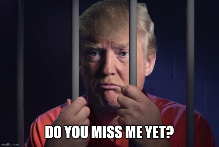 Trump Prison | DO YOU MISS ME YET? | image tagged in trump prison | made w/ Imgflip meme maker