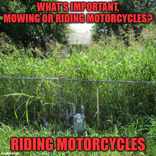 WHAT'S IMPORTANT, MOWING OR RIDING MOTORCYCLES? RIDING MOTORCYCLES | image tagged in grass | made w/ Imgflip meme maker