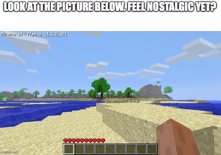 Feel nostalgic yet? | LOOK AT THE PICTURE BELOW. FEEL NOSTALGIC YET? | image tagged in nostalgia,minecraft | made w/ Imgflip meme maker