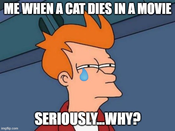 NOOOOOOOOOOOOO | ME WHEN A CAT DIES IN A MOVIE; SERIOUSLY...WHY? | image tagged in memes,futurama fry | made w/ Imgflip meme maker