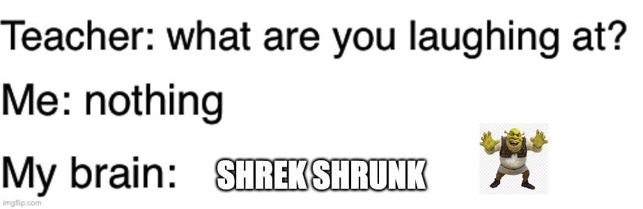 Teacher what are you laughing at | SHREK SHRUNK | image tagged in teacher what are you laughing at | made w/ Imgflip meme maker