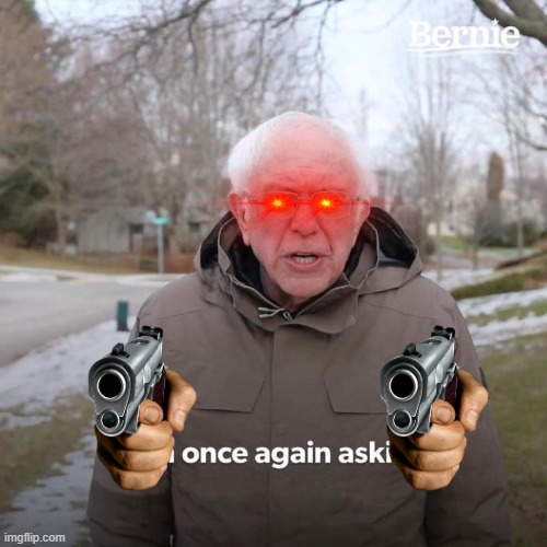 im board | image tagged in memes,bernie i am once again asking for your support | made w/ Imgflip meme maker