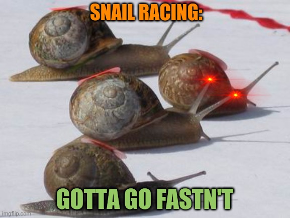 SNAIL RACING: GOTTA GO FASTN'T | made w/ Imgflip meme maker