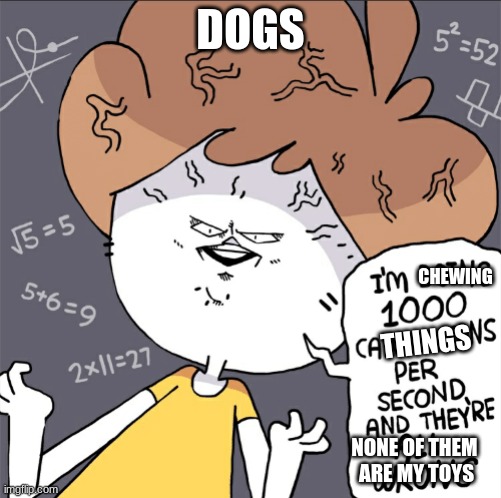 No one: | DOGS; CHEWING; THINGS; NONE OF THEM 
ARE MY TOYS | image tagged in im doing 1000 calculation per second and they're all wrong | made w/ Imgflip meme maker