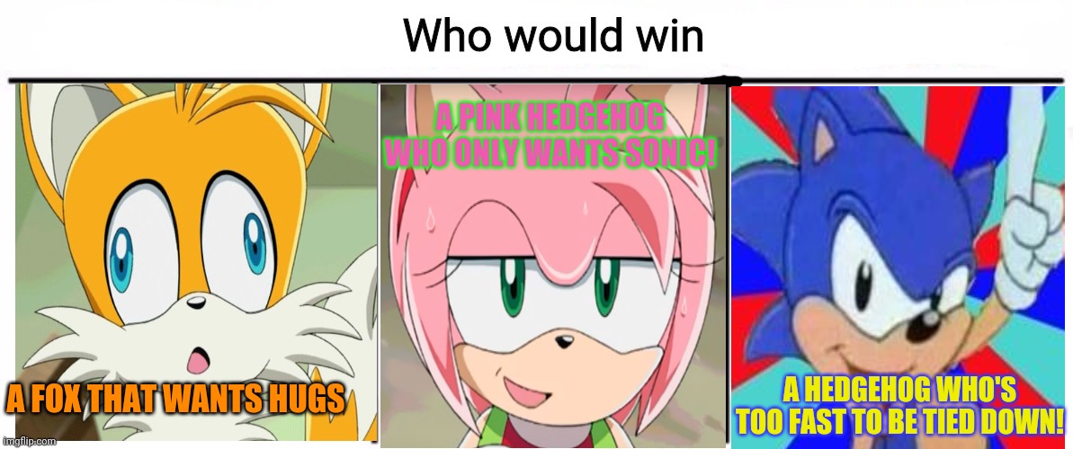 Sonic vs Amy