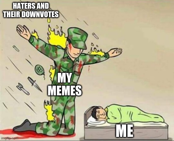 Up vote plz | HATERS AND THEIR DOWNVOTES; MY MEMES; ME | image tagged in soldier protecting sleeping child | made w/ Imgflip meme maker