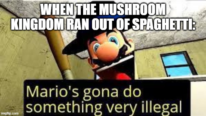 Sounds about right |  WHEN THE MUSHROOM KINGDOM RAN OUT OF SPAGHETTI: | image tagged in mario,smg4 | made w/ Imgflip meme maker