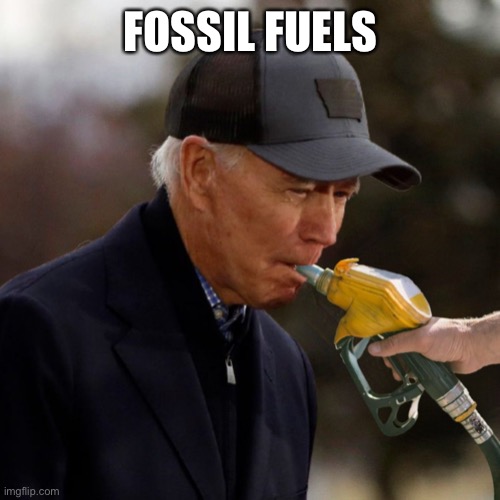 Fossil Fuels | FOSSIL FUELS | image tagged in fossil fuels | made w/ Imgflip meme maker