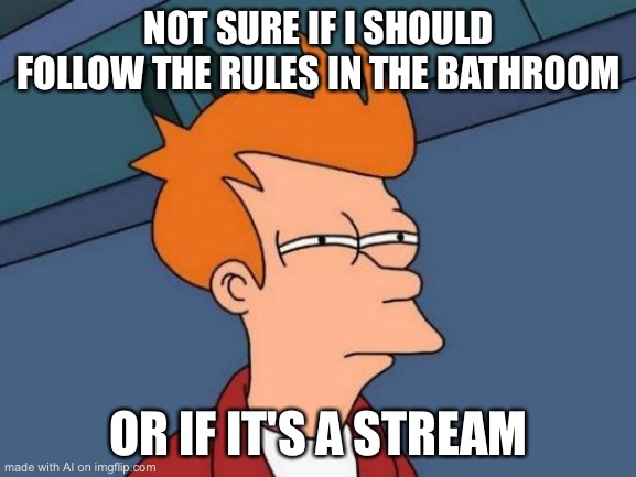 Maybe the bathroom is a stream | NOT SURE IF I SHOULD FOLLOW THE RULES IN THE BATHROOM; OR IF IT'S A STREAM | image tagged in memes,futurama fry | made w/ Imgflip meme maker