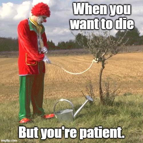 When you want to die; But you're patient. | image tagged in dark humor | made w/ Imgflip meme maker