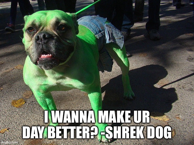 I WANNA MAKE UR DAY BETTER? -SHREK DOG | image tagged in doggo,shrek,green,hehehe,internet,doge | made w/ Imgflip meme maker