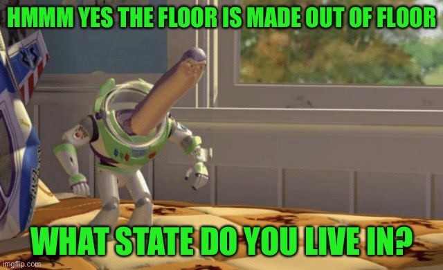 Haven’t done one of these in F O R E V E R | HMMM YES THE FLOOR IS MADE OUT OF FLOOR; WHAT STATE DO YOU LIVE IN? | image tagged in hmm yes | made w/ Imgflip meme maker