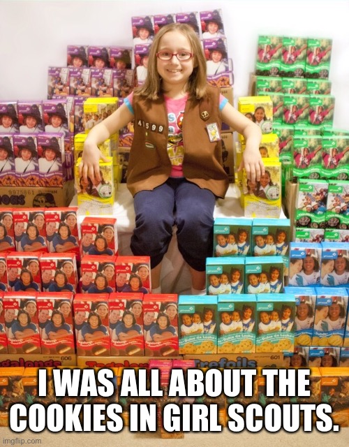 I was all about the cookies in Girl Scouts. | I WAS ALL ABOUT THE COOKIES IN GIRL SCOUTS. | image tagged in girl scout cookies | made w/ Imgflip meme maker