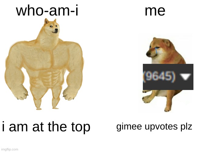 gimme upvotes | who-am-i; me; i am at the top; gimee upvotes plz | image tagged in memes,buff doge vs cheems | made w/ Imgflip meme maker